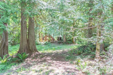 0 Maple Avenue Brinnon WA 98320