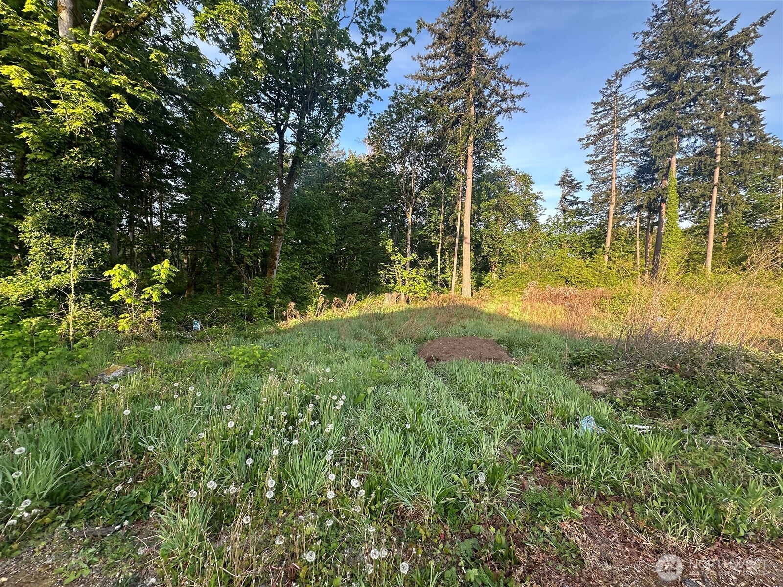 35421 55th (Lot 19 & 20) Avenue S