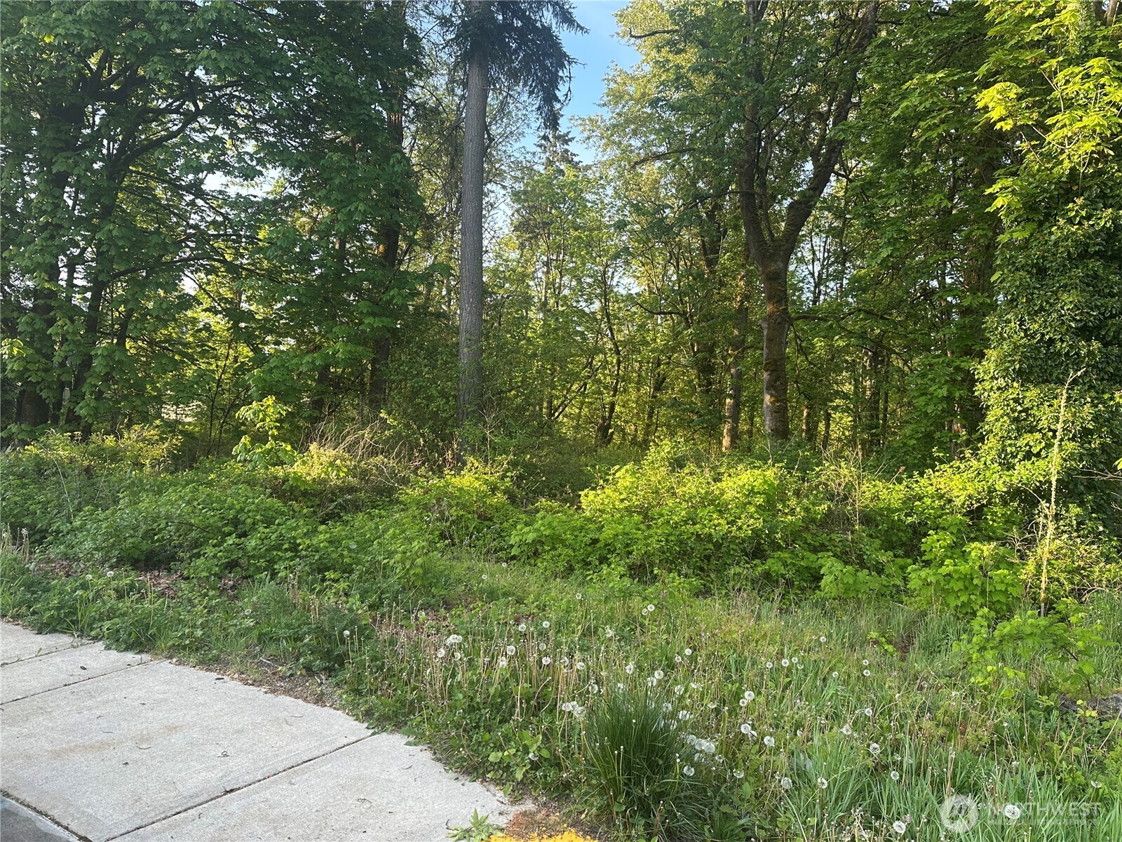 35421 55th (Lot 19 & 20) Avenue S