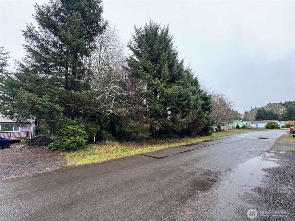 Photo of 682 Copalis Avenue NE, Ocean Shores, WA 98569 (MLS # 2459880)