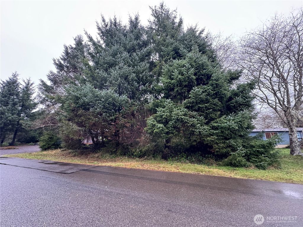 Photo of 682 Copalis Avenue NE, Ocean Shores, WA 98569 (MLS # 2459880)