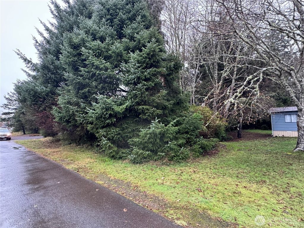 Photo of 682 Copalis Avenue NE, Ocean Shores, WA 98569 (MLS # 2459880)