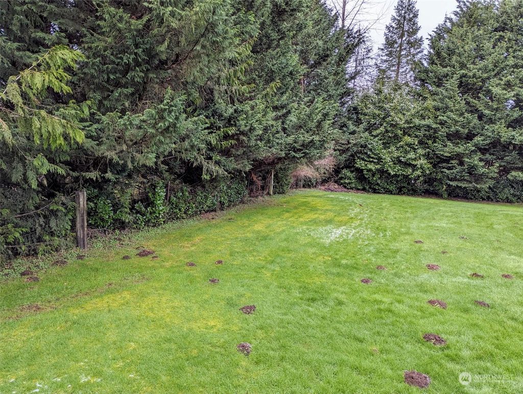 Photo of 4422 171st Avenue SE, Snohomish, WA 98290 (MLS # 2203785)