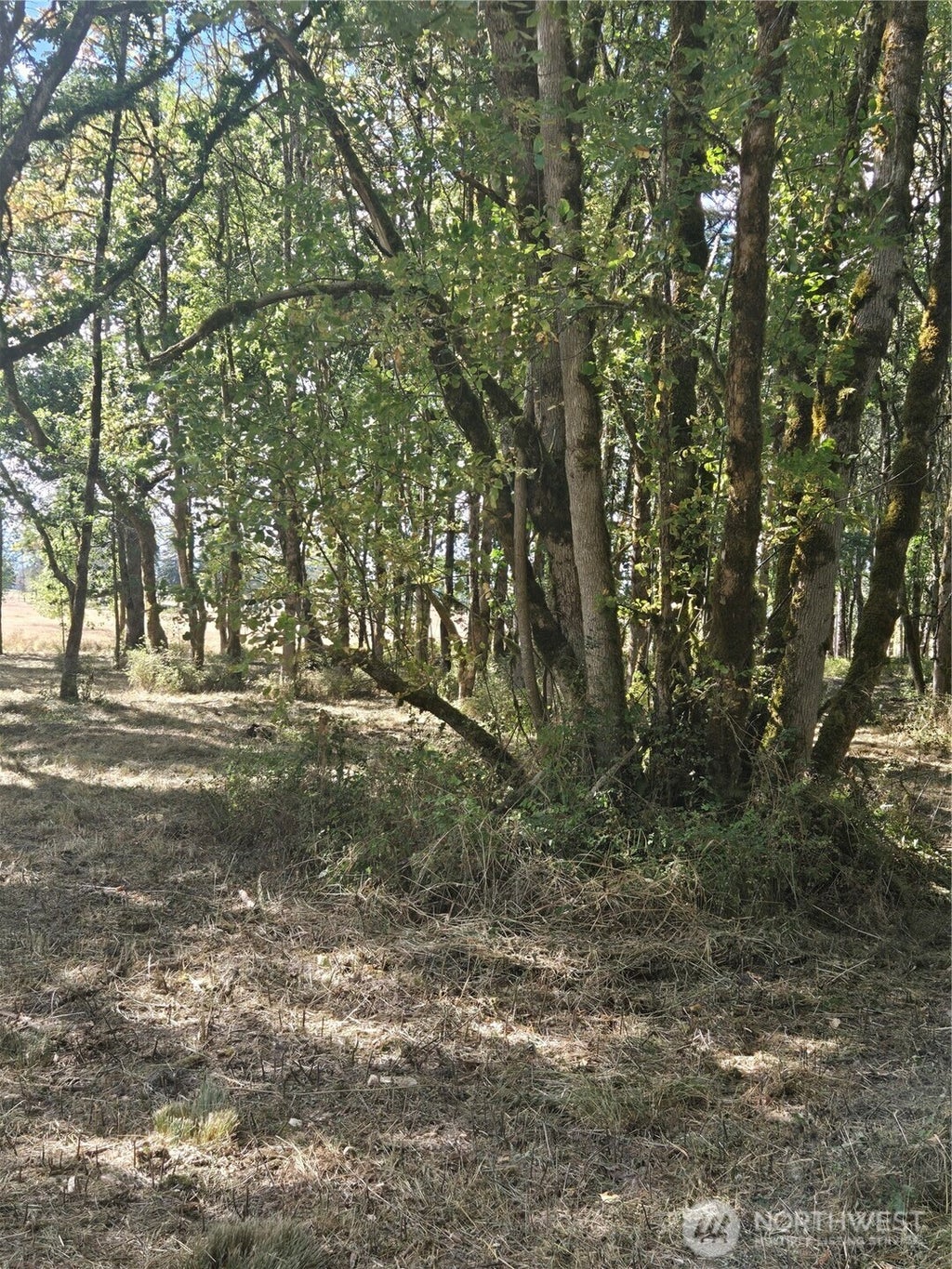 Photo of 144 Dowling Road, Toledo, WA 98591 (MLS # 2575558)