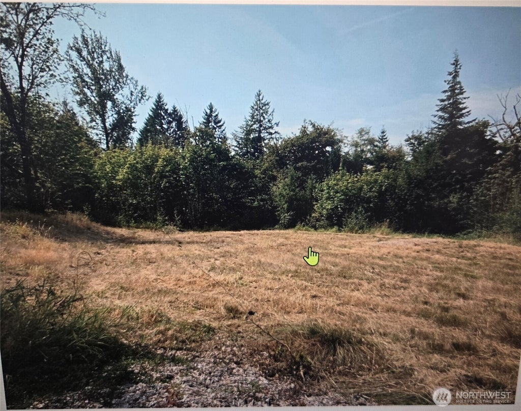 Photo of 144 Dowling Road, Toledo, WA 98591 (MLS # 2575558)
