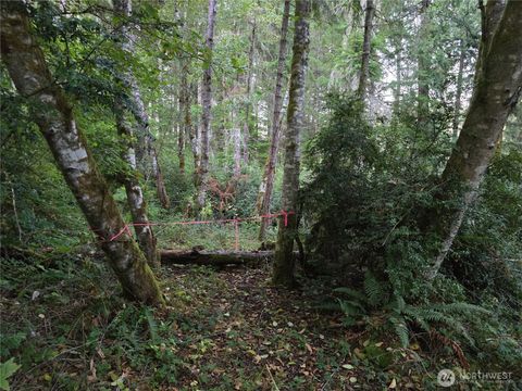 12727 96th Court Anderson Island WA 98303