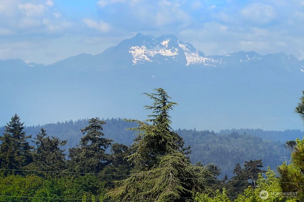 Photo of 3444 California Avenue SW, Seattle, WA 98116 (MLS # 2528149)
