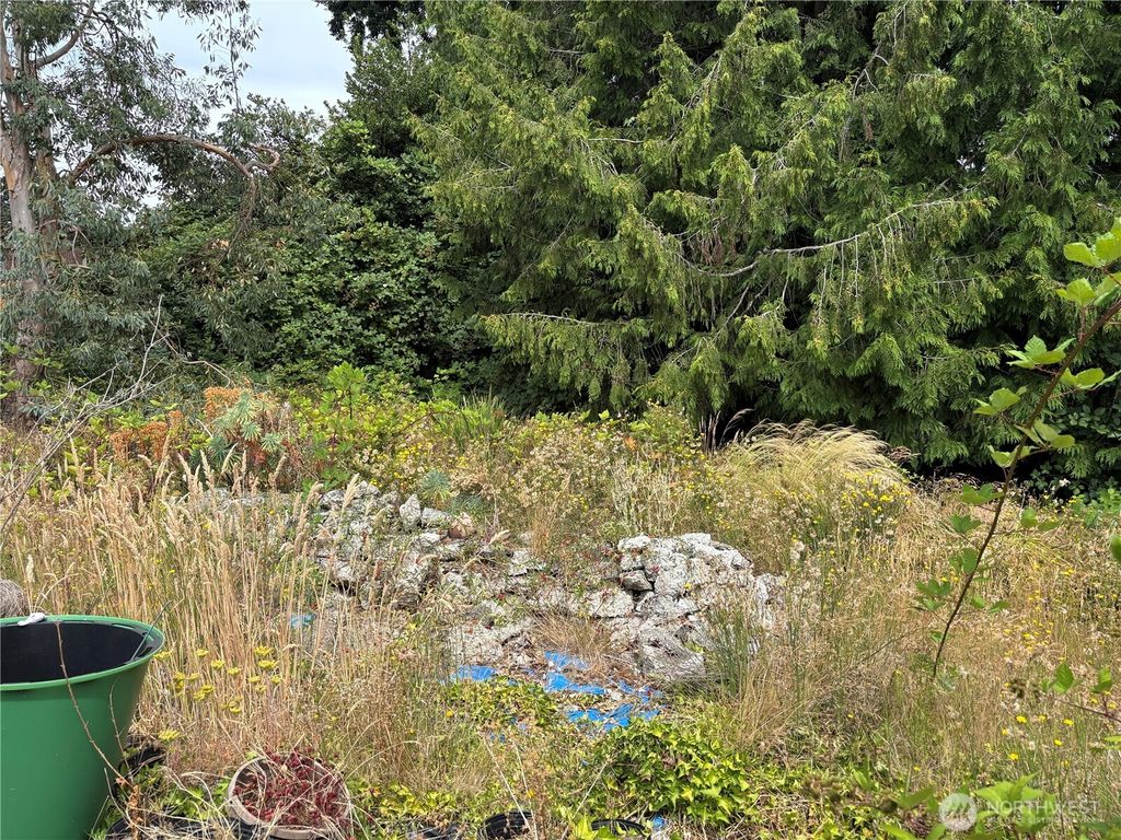 Photo of 3808 S 250th Street, Kent, WA 98032 (MLS # 2417608)