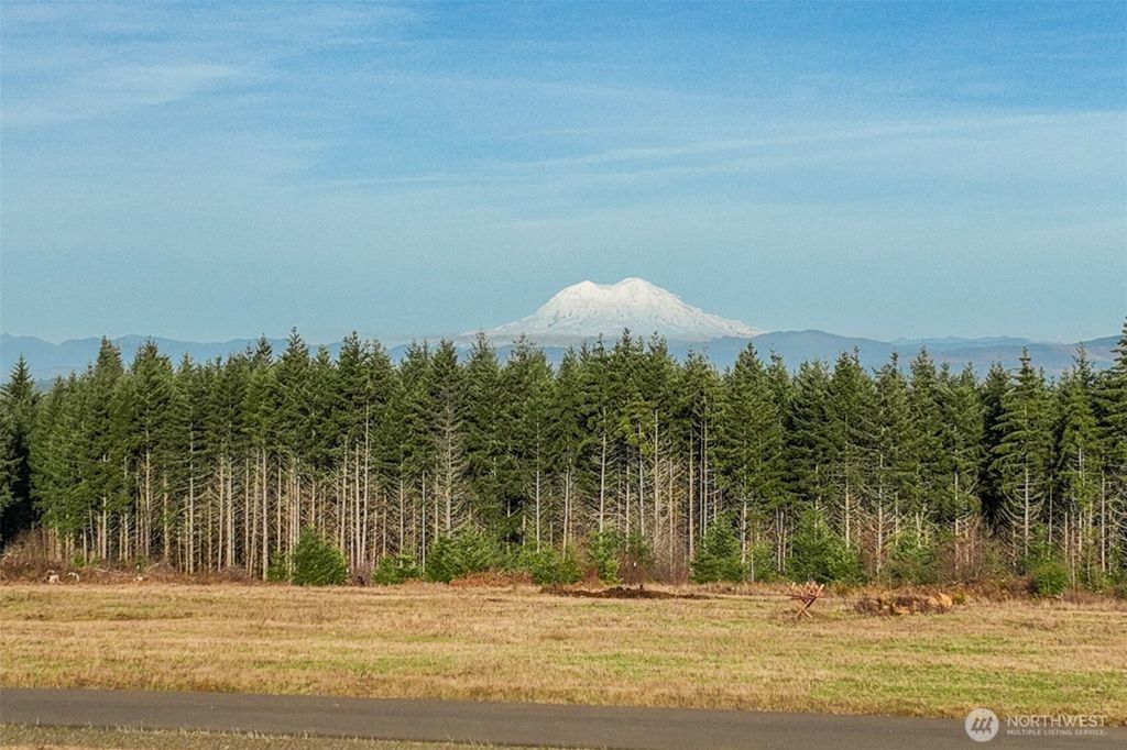 Photo of 0 Silverwood Drive #H, Castle Rock, WA 98611 (MLS # 2480746)