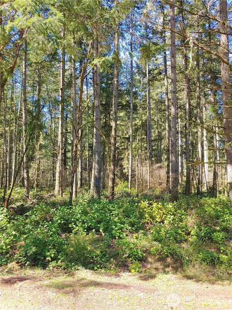 11813 Country Club Drive Anderson Island WA 98303