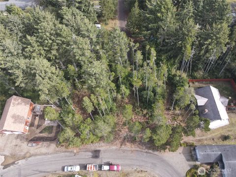 Photo of 1102 300th Place Pl, Ocean Park, WA 98640 (MLS # 2446301)