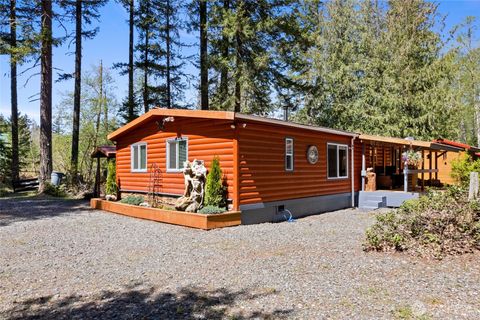 Photo of 271 Skate Creek Road, Ashford, WA 98304 (MLS # 2518229)