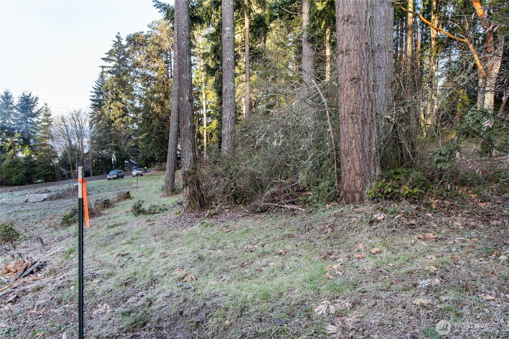 0 Lemolo Shore, Parcel 3-006 Drive NE