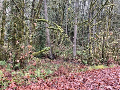 Photo of 0 WA 505, Toledo, WA 98591 (MLS # 2526321)