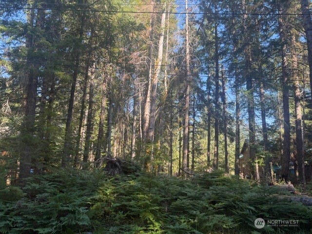 Photo of 17221 River View Way E, Enumclaw, WA 98022 (MLS # 2573916)