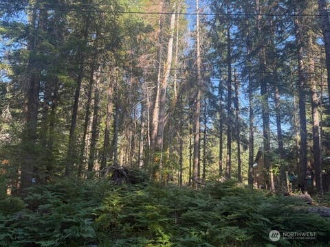 Photo of 17221 River View Way E, Enumclaw, WA 98022 (MLS # 2573916)