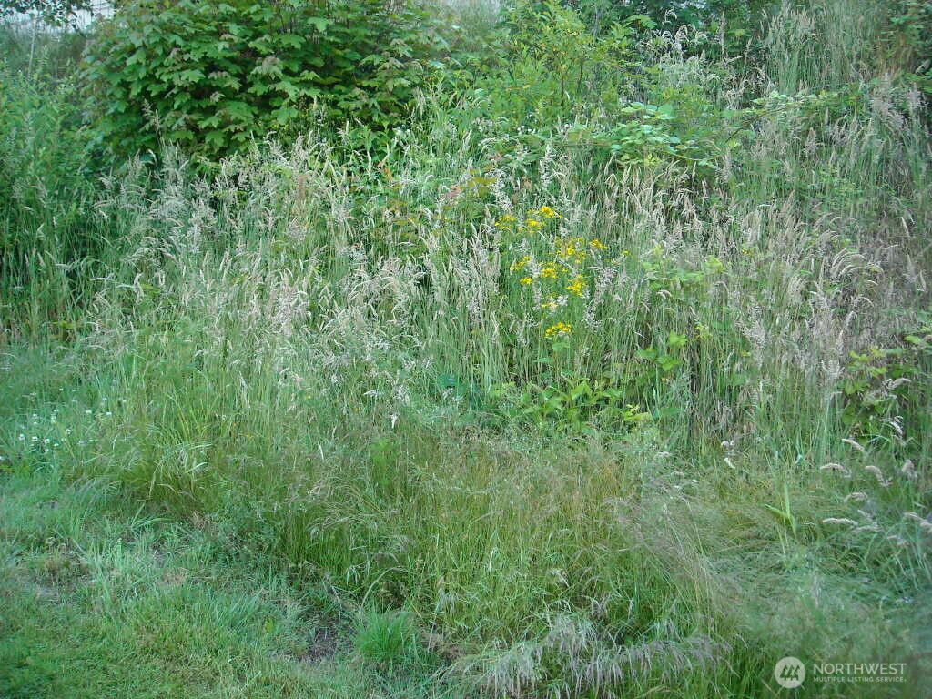 Photo of 613 E 56th Street, Tacoma, WA 98404 (MLS # 2497072)