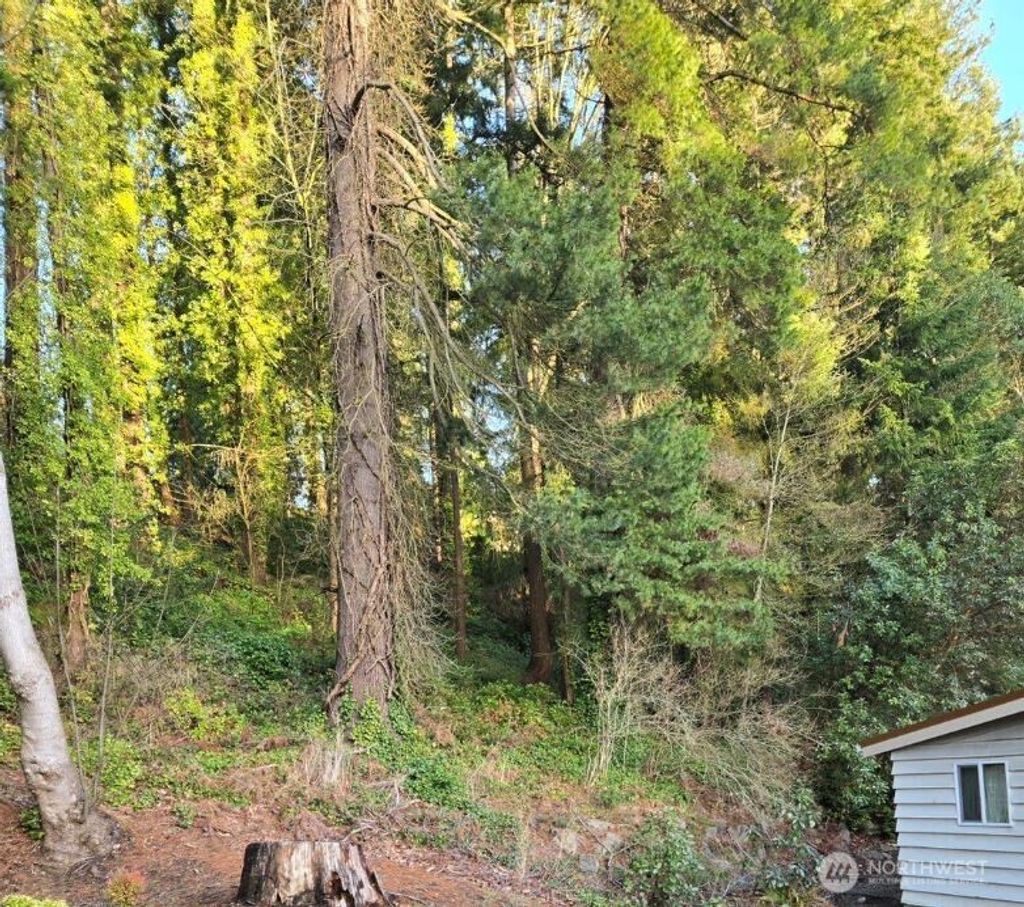 Photo of 18360 Evanston Avenue N, Shoreline, WA 98133 (MLS # 2420085)