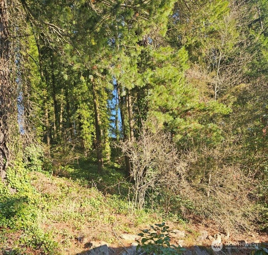 Photo of 18360 Evanston Avenue N, Shoreline, WA 98133 (MLS # 2420085)