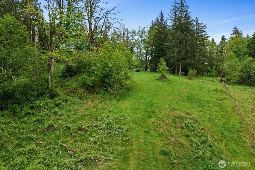 Photo of 0 X Salmon Creek Road, Mossyrock, WA 98564 (MLS # 2576133)