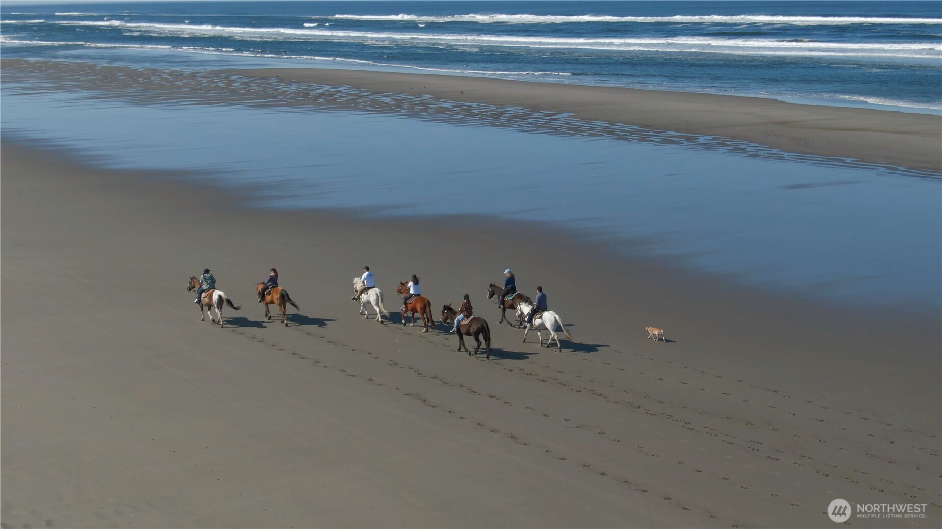 300 W Sid Snyder Drive