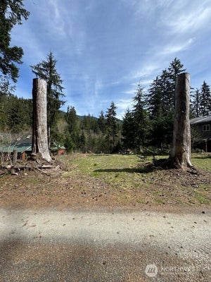 11101 RIVERVIEW DR E, ENUMCLAW, WA 98022 - Image 577e4560cb1edcd89ee5e3f60eab4abb/3735988926