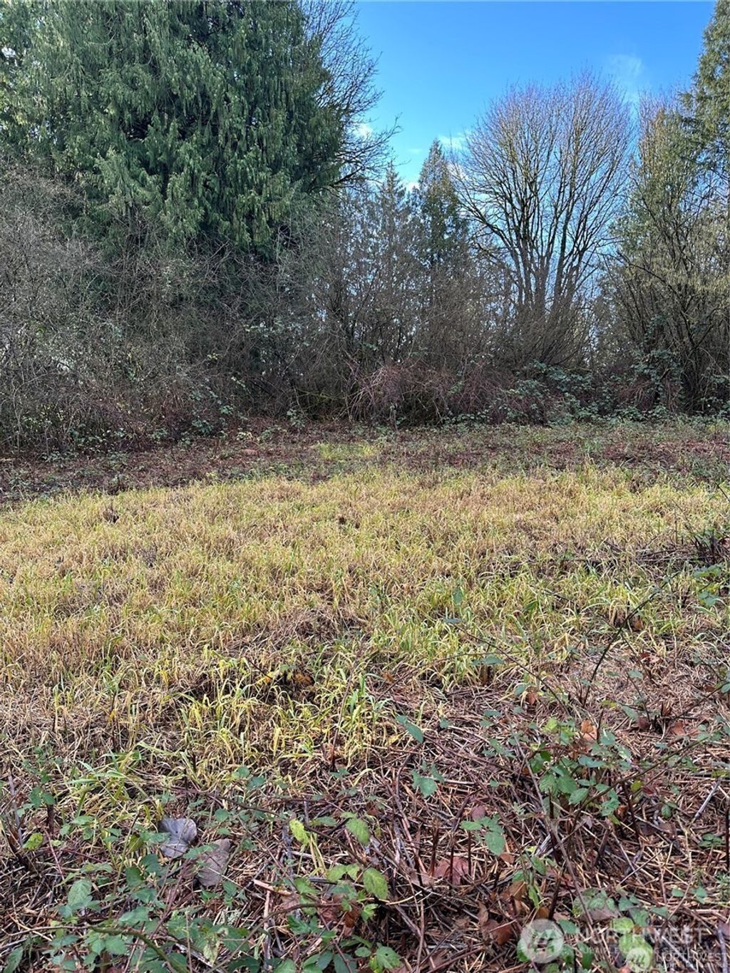 Photo of 0 121st Avenue SE, Snohomish, WA 98290 (MLS # 2510829)