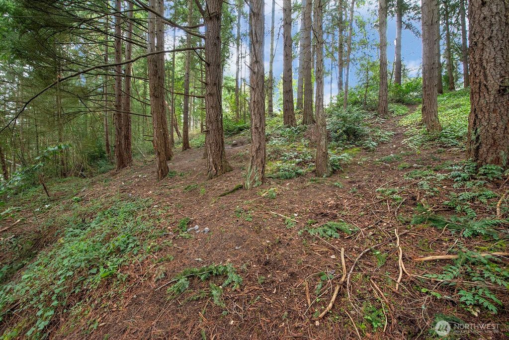 Photo of 516 North 178th Court Ct, Shoreline, WA 98133 (MLS # 2488501)