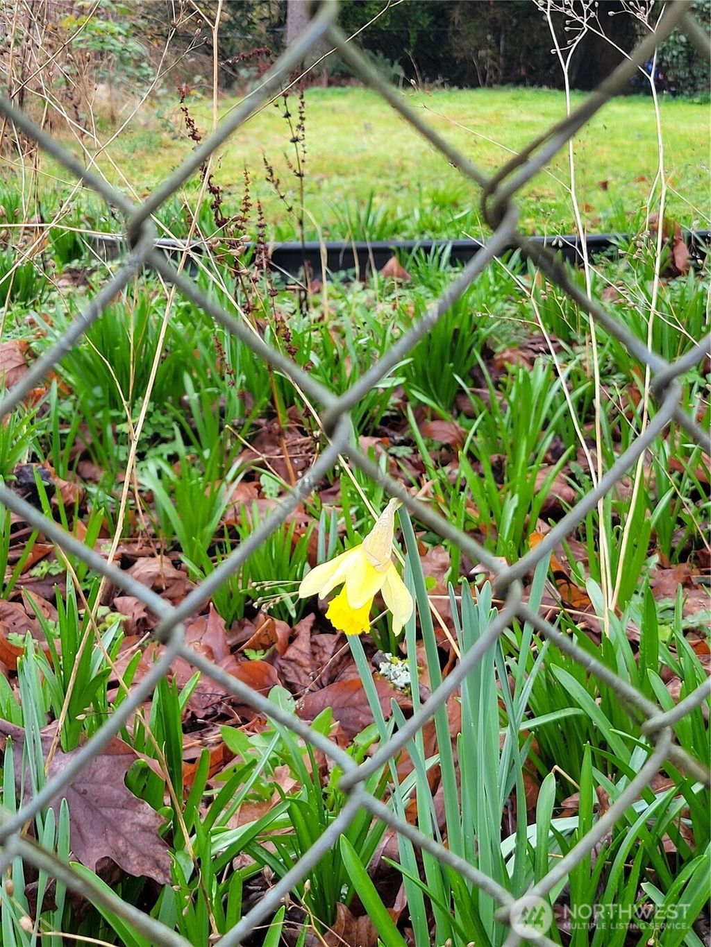 Photo of 19424 Winesap Road, Bothell, WA 98012 (MLS # 2488320)