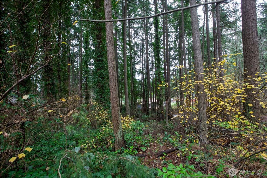 Photo of 6493 20th Avenue E, Lacey, WA 98503 (MLS # 2459628)