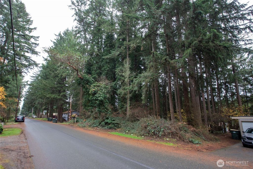 Photo of 6493 20th Avenue E, Lacey, WA 98503 (MLS # 2459628)