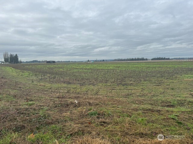 1420 Birch Bay Lynden Road