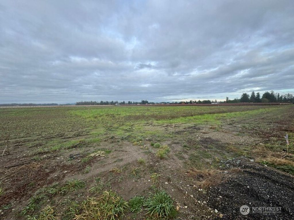 Photo of 1420 Birch Bay Lynden Road, Lynden, WA 98264 (MLS # 2458588)