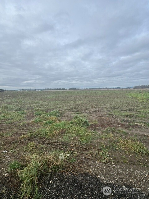 1420 Birch Bay Lynden Road