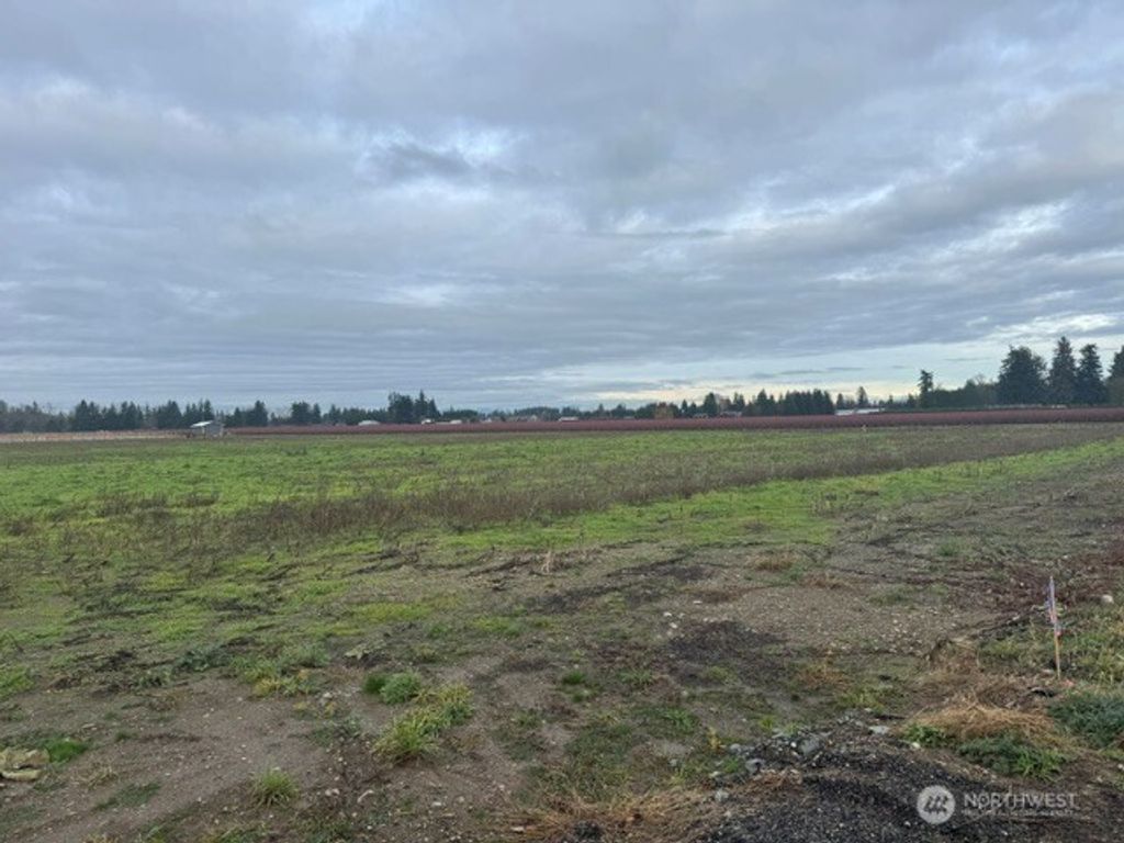 Photo of 1420 Birch Bay Lynden Road, Lynden, WA 98264 (MLS # 2458588)