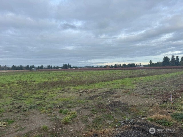 1420 Birch Bay Lynden Road