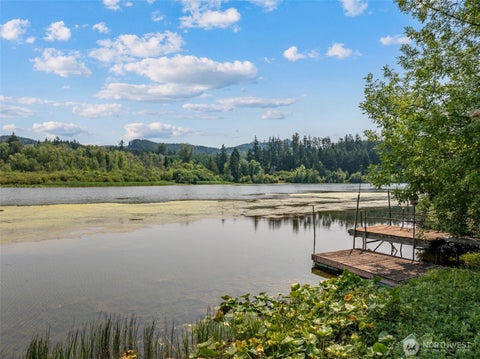 Photo of 14940 Cedarwood Drive SE, Tenino, WA 98589 (MLS # 2561825)