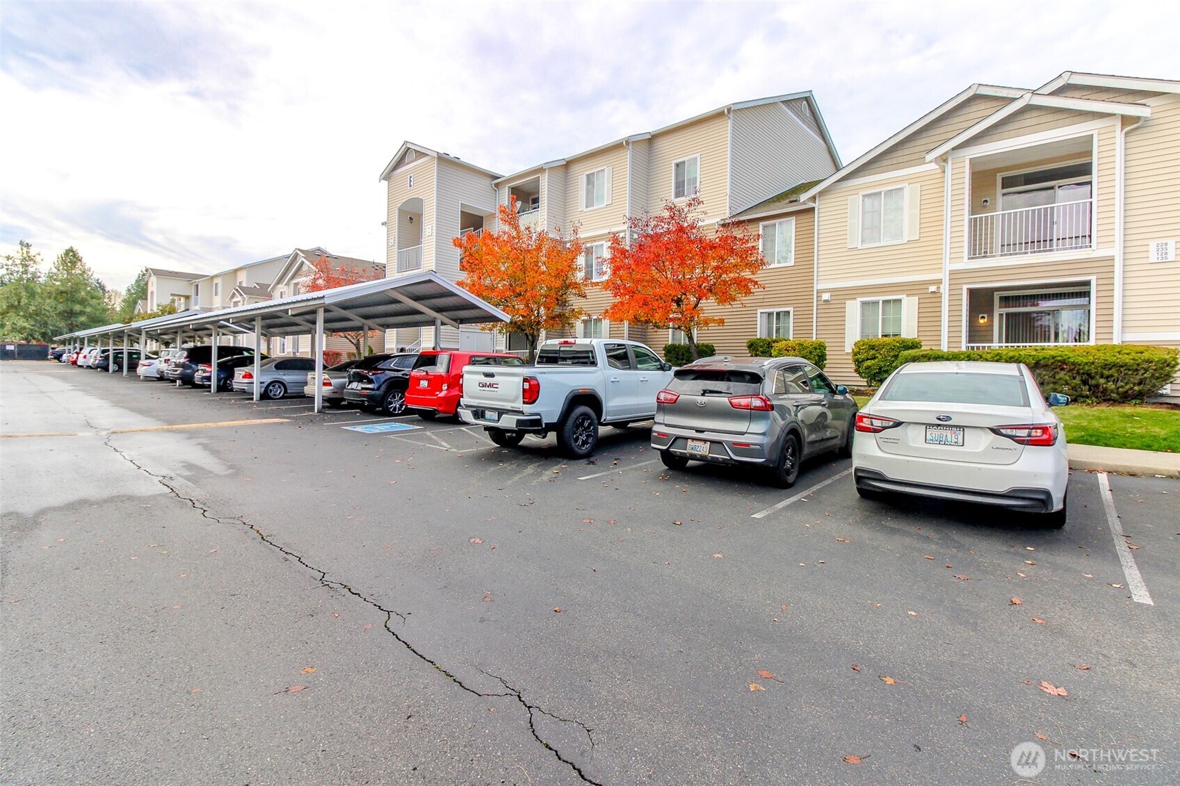 10007 186th Street E 234