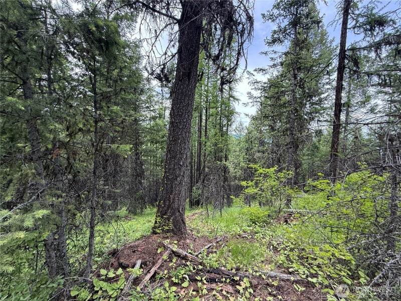 0 Mule Deer Road