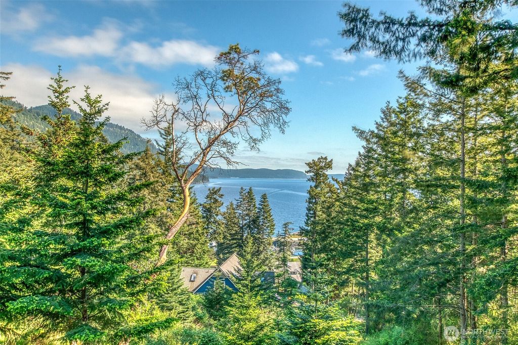 Photo of 118 Cascade Way, Orcas Island, WA 98245 (MLS # 2515637)