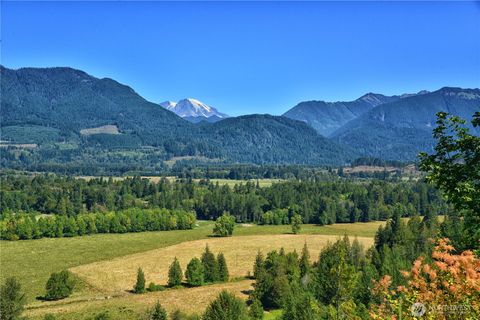 3 Skinner Road Randle WA 98377