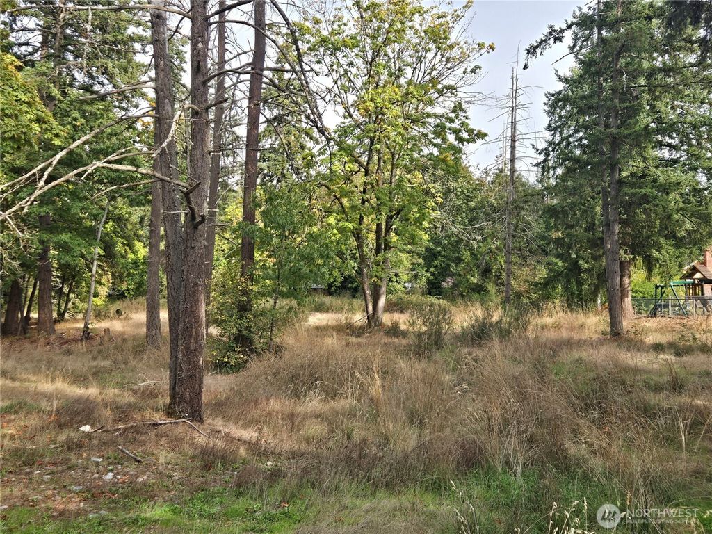 Photo of 2 xxx R Street SE, Auburn, WA 98002 (MLS # 2444617)