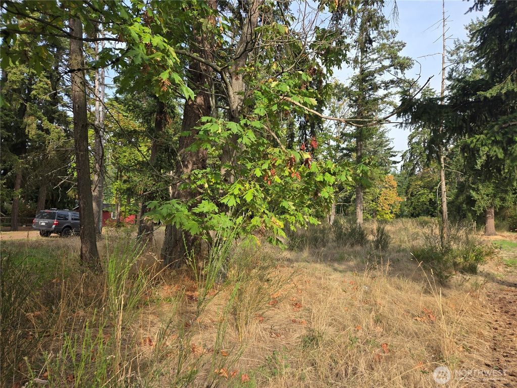 Photo of 2 xxx R Street SE, Auburn, WA 98002 (MLS # 2444617)