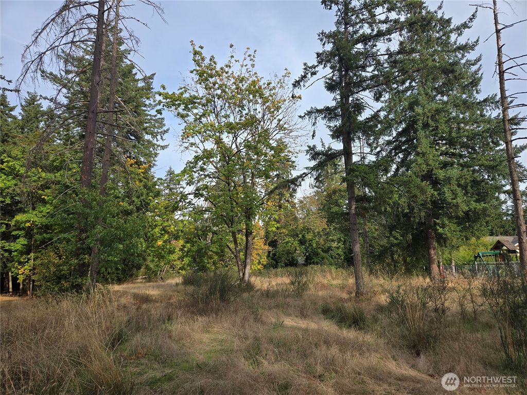 Photo of 2 xxx R Street SE, Auburn, WA 98002 (MLS # 2444617)