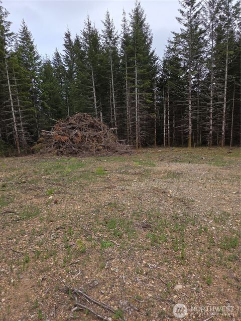 490 E Pinedirosa Road B Union WA 98592