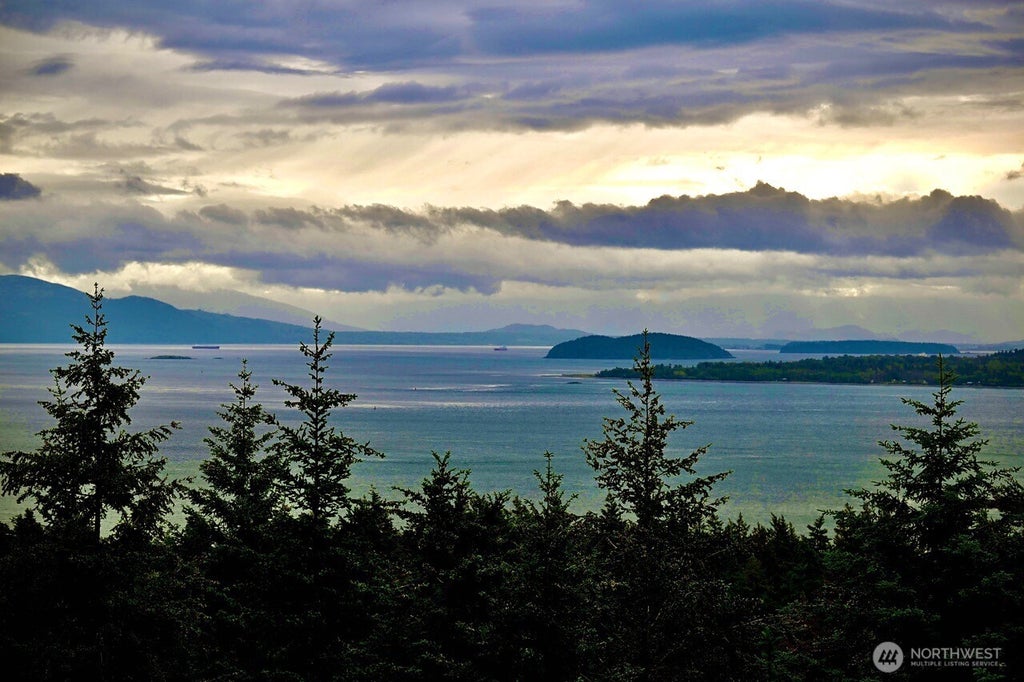Photo of 206 Upper Cow Hill Road, Orcas Island, WA 98279 (MLS # 2535522)