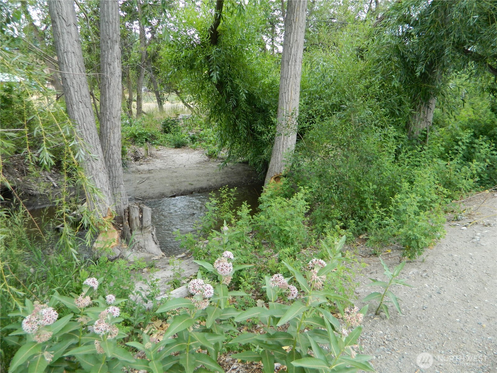 44 Bonaparte Avenue