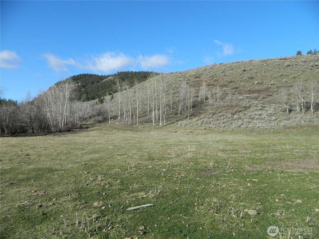 Photo of 111 TBD Ellemeham Mountain Ridge Road, Tonasket, WA 98855 (MLS # 2514557)