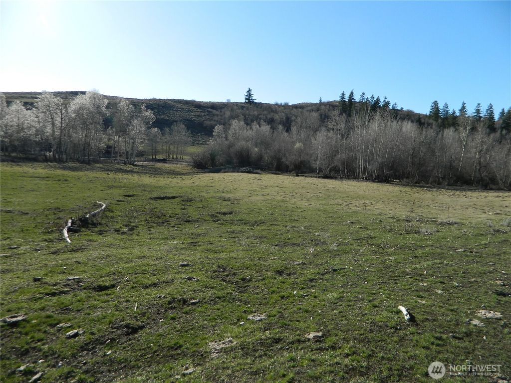 Photo of 111 TBD Ellemeham Mountain Ridge Road, Tonasket, WA 98855 (MLS # 2514557)