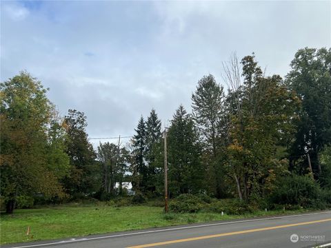 Photo of 218 Park Street, Shelton, WA 98584 (MLS # 2295665)